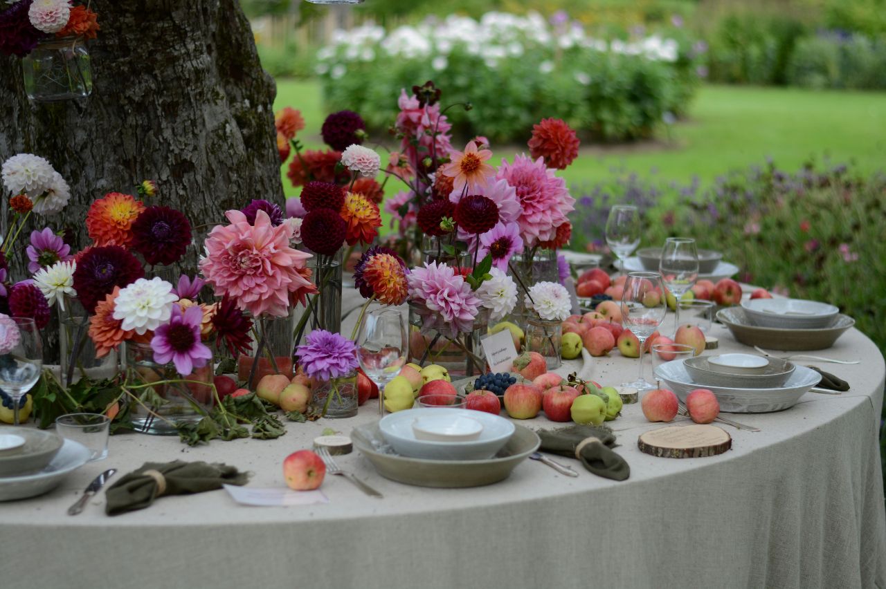 Best Backyard Wedding Food Ideas
